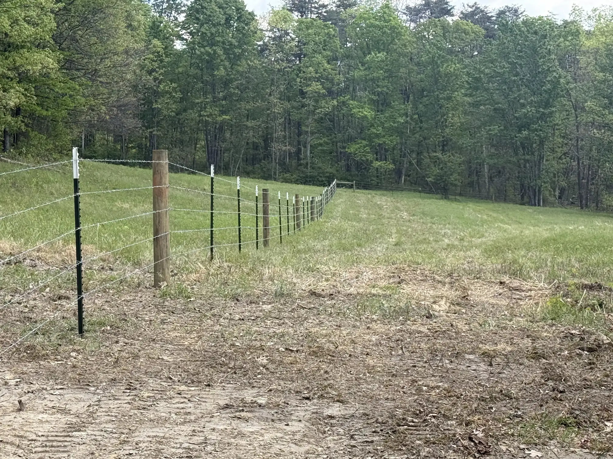 Green field bordered by a wire fence with wooden and metal posts next to a forest of leafy trees.