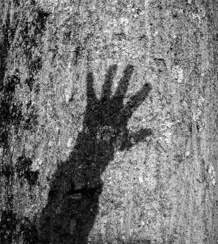 Image 6 from Nicole Collado's black and white photography series, done in a photography class