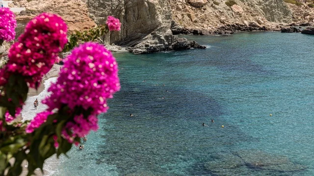 Turquoise swimming cove on Folegandros framed by bright pink bougainvillea
