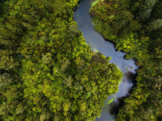 Fast Fashion vs. Sustainable Fashion Retailers: Focus on Omnichannel and Sustainability