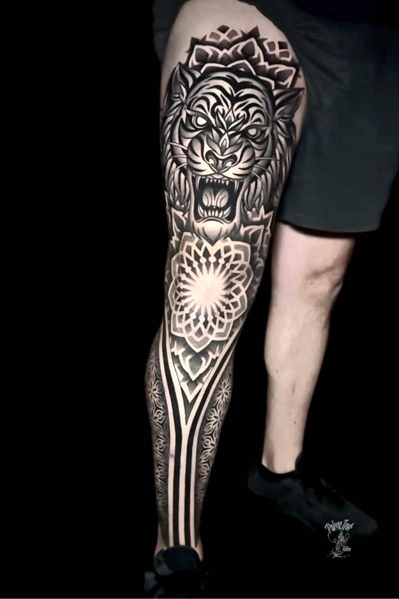 Experts V1 Image Wrap