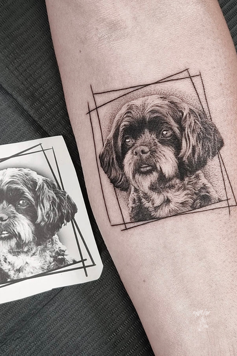 Experts V1 Image Wrap