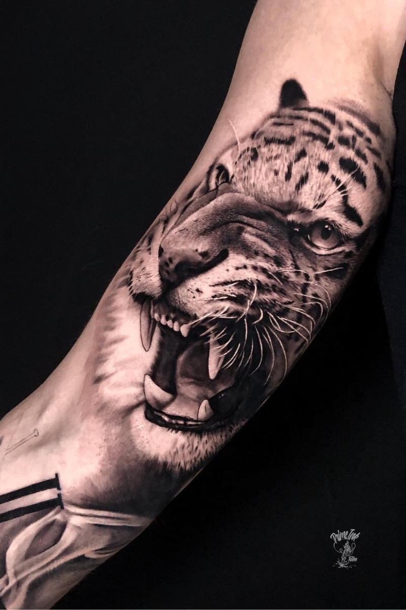 Experts V1 Image Wrap