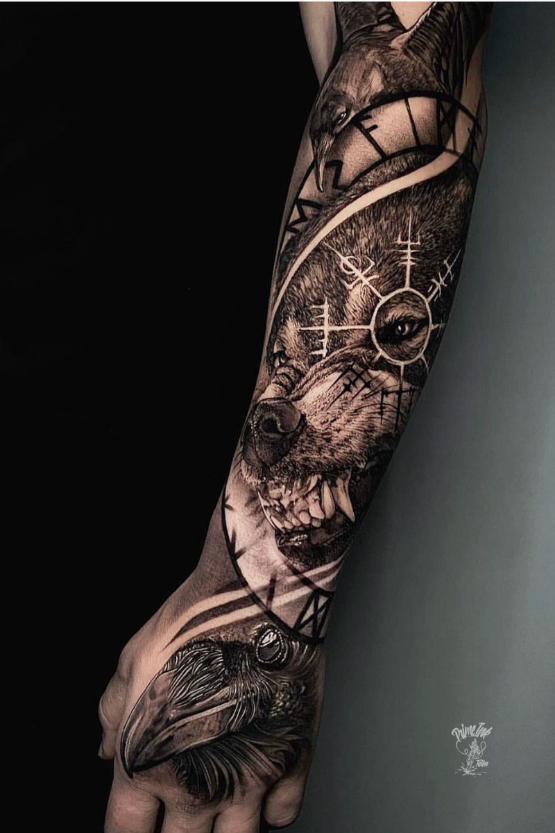 Experts V1 Image Wrap