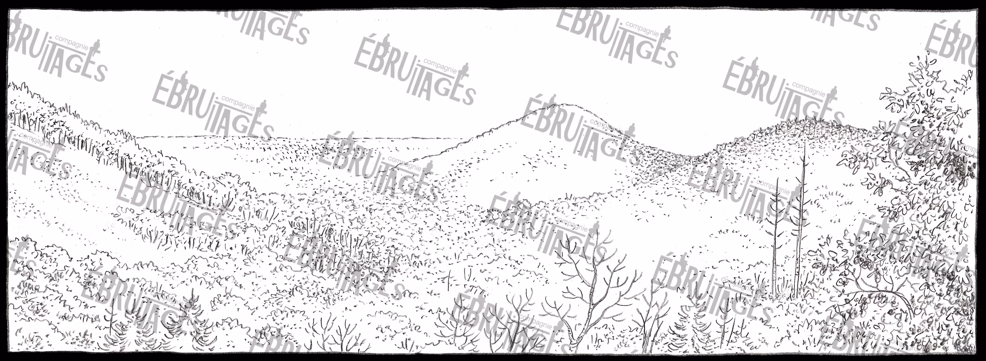 Dessin en noir et blanc d'une chaîne de collines boisées et d'arbres détaillés au premier plan.
