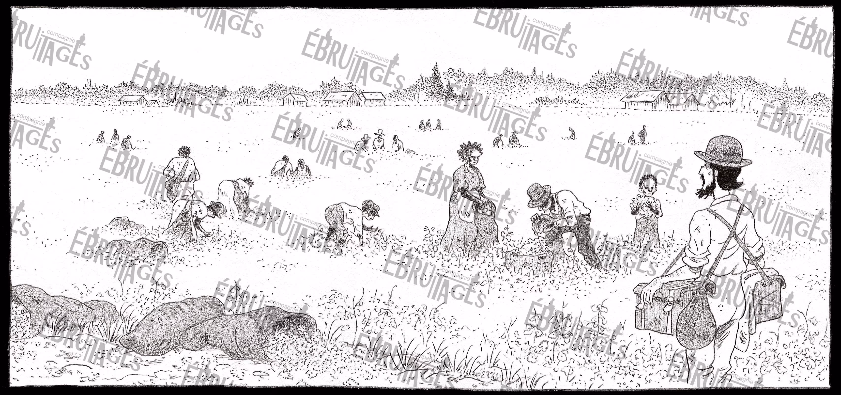 Des ouvriers agricoles récoltent des cacahuètes dans un grand champ, avec des sacs ouverts pleins de cacahuètes au premier plan.