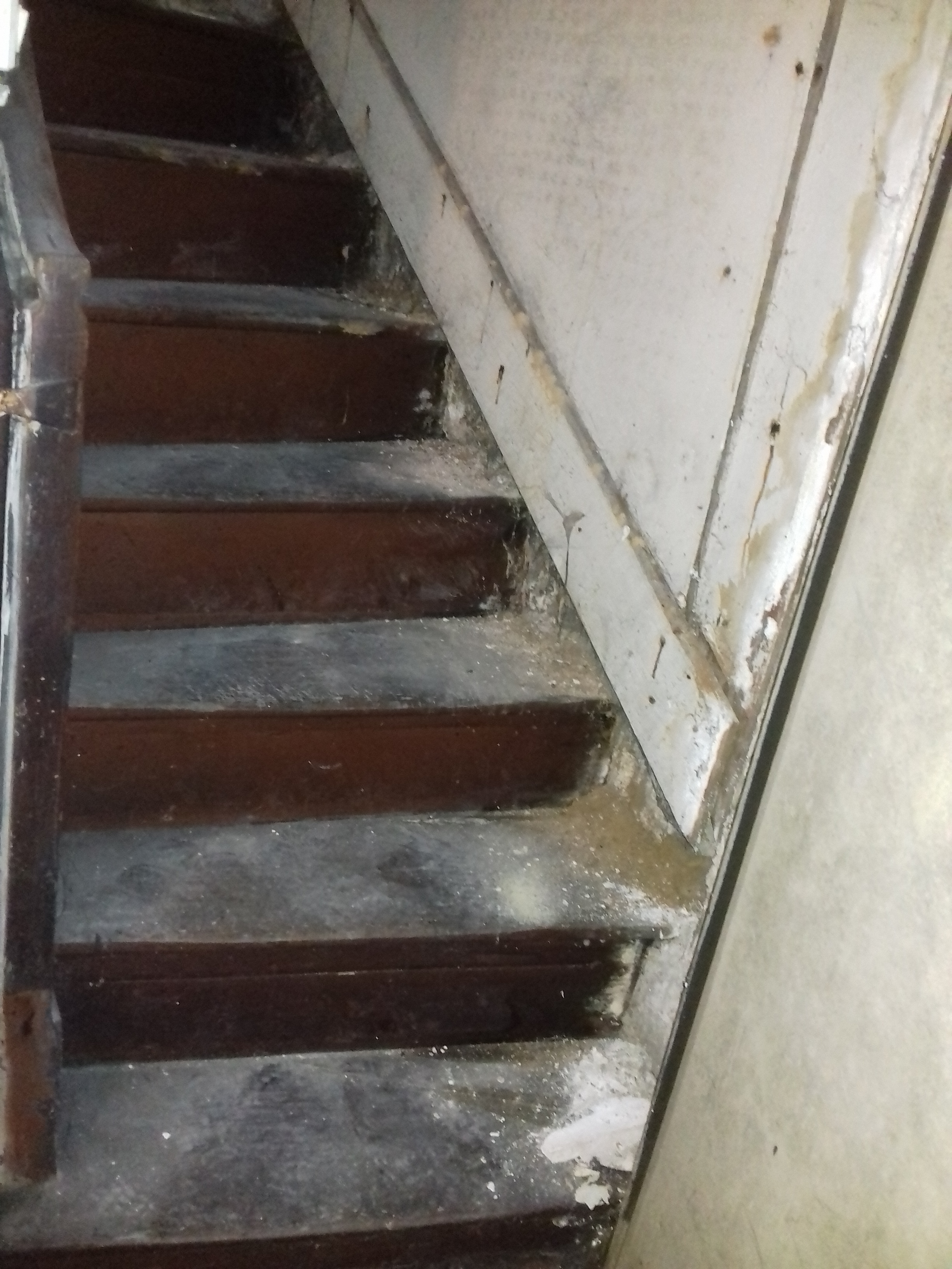 Quand une maison ancienne reprend vie