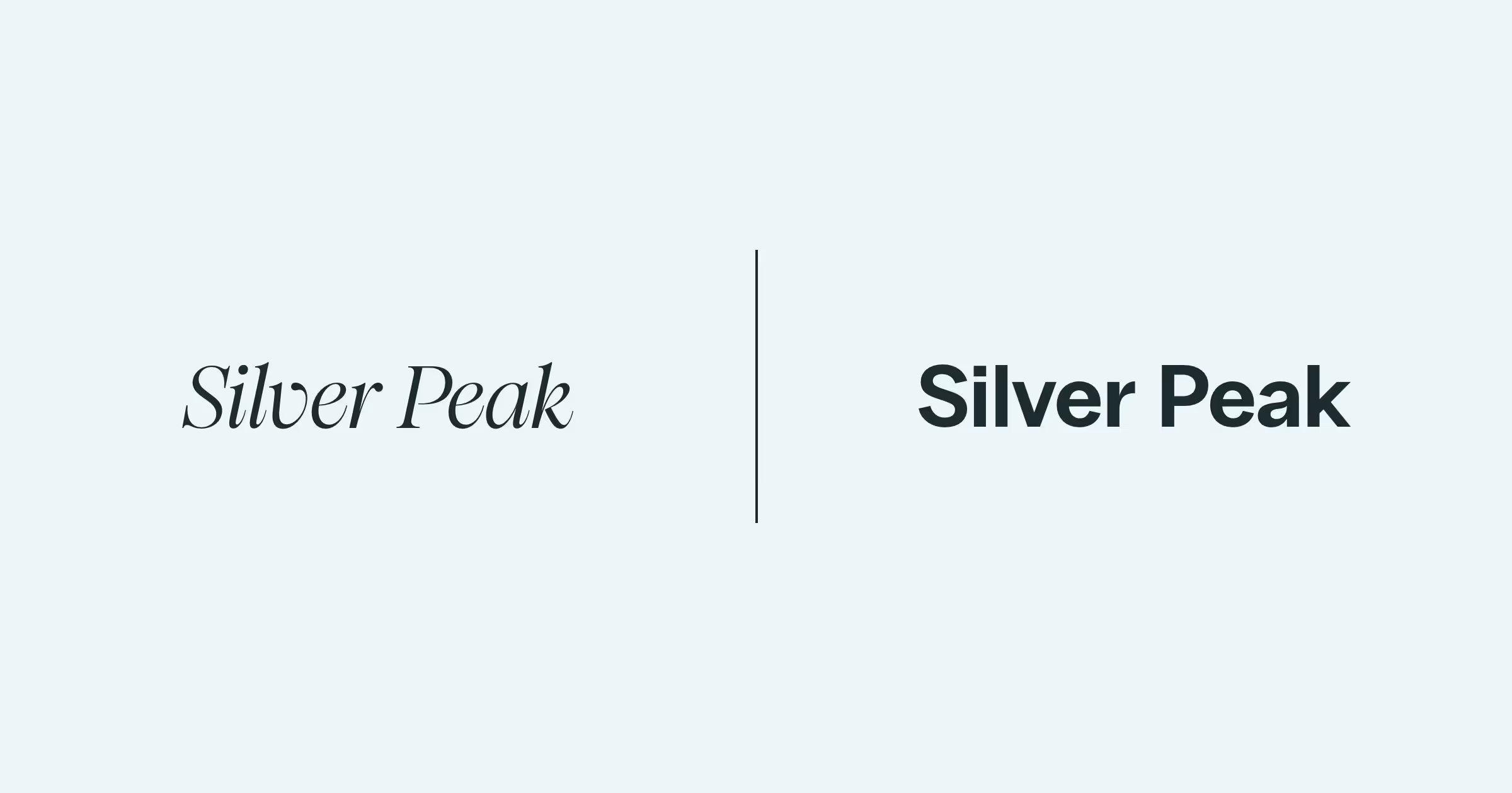 Zweimal der Schriftzug "Silver Peak" in anderen Schriftarten, um die Wirkung von unterschiedlichen Fonts zu vermitteln.