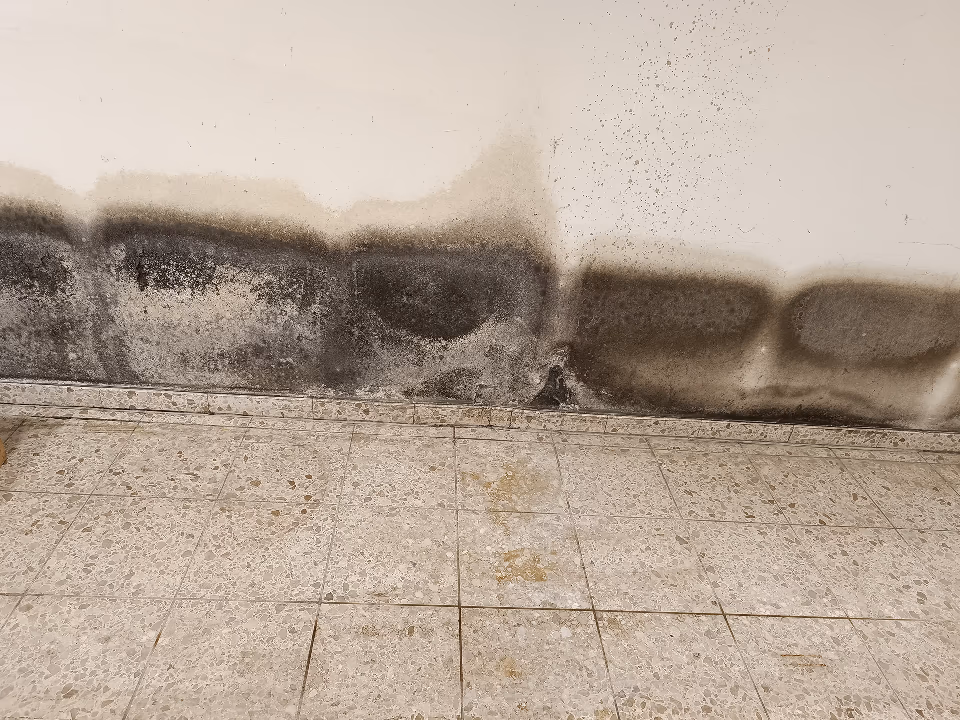 Fachliche Begleitung zur sicheren Entscheidungsfindung beim Hauskauf