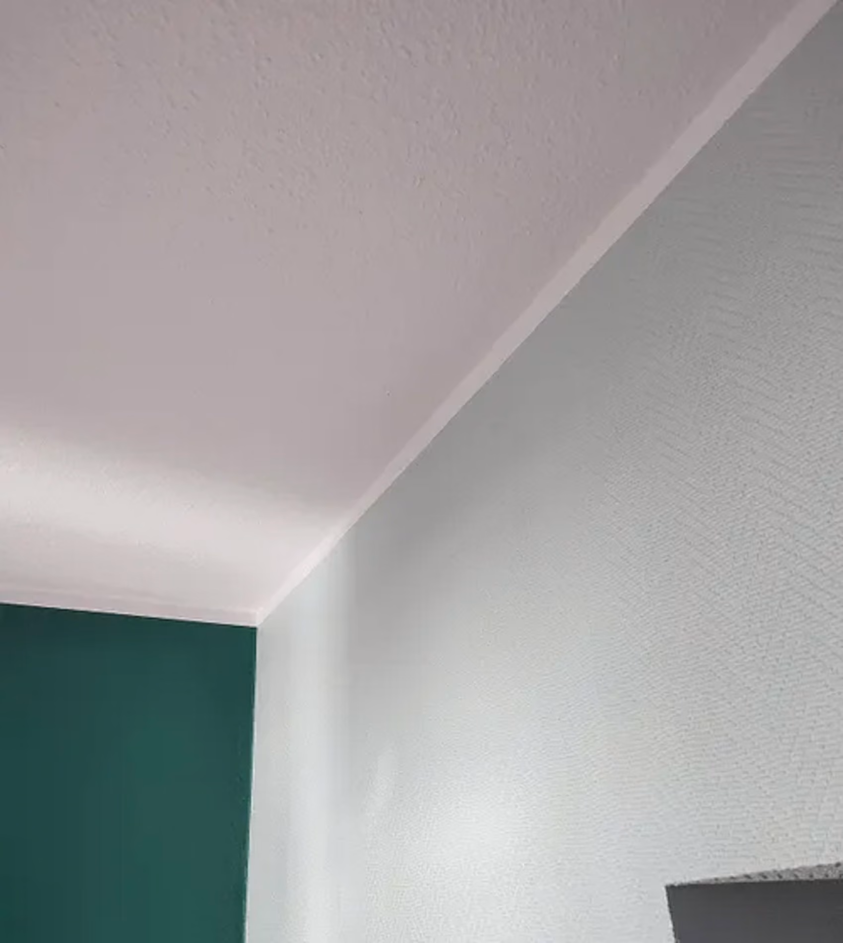Typische Schimmelschäden Mönchengladbach