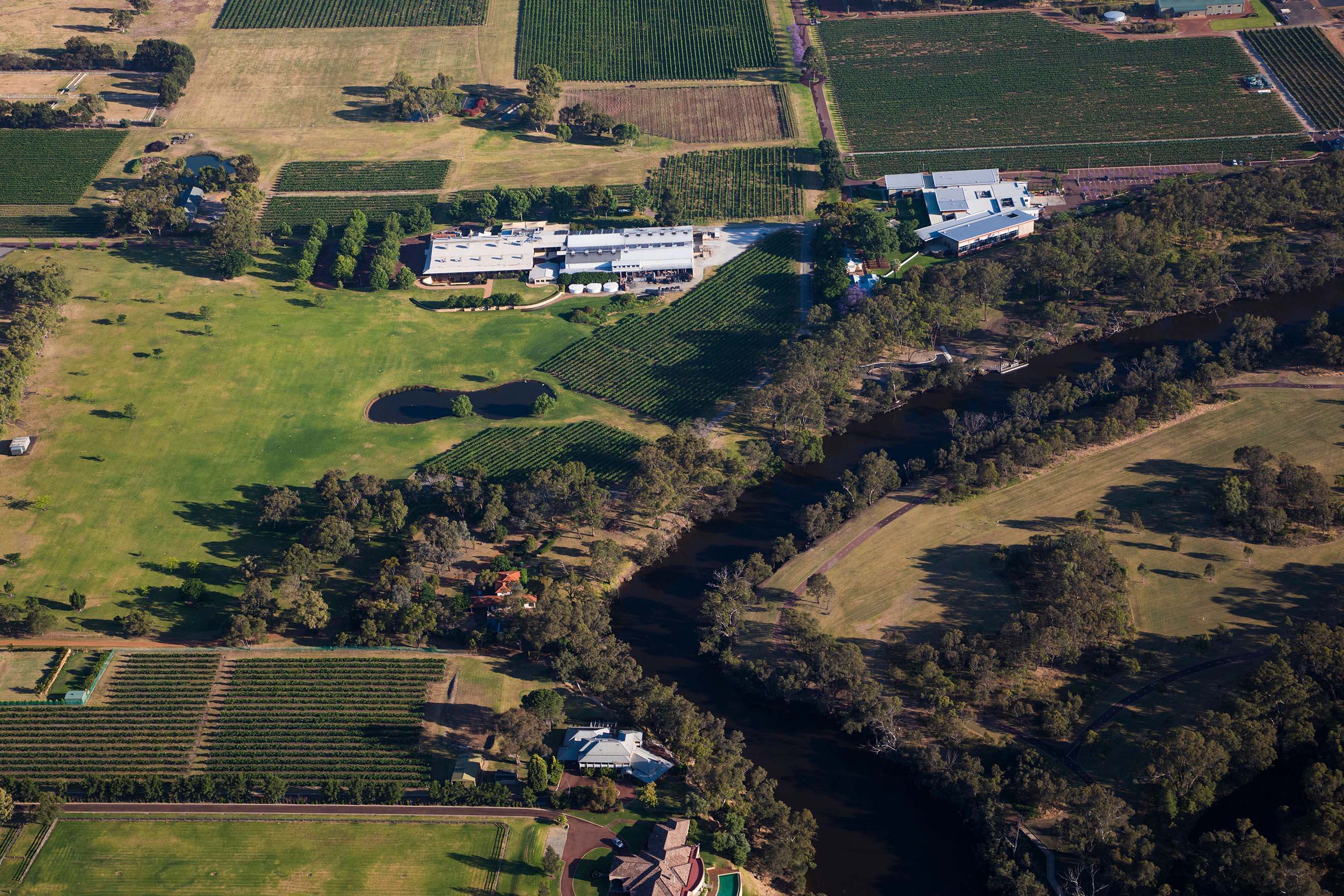 Swan Valley, WA. Image courtesy of Tourism Western Australia.