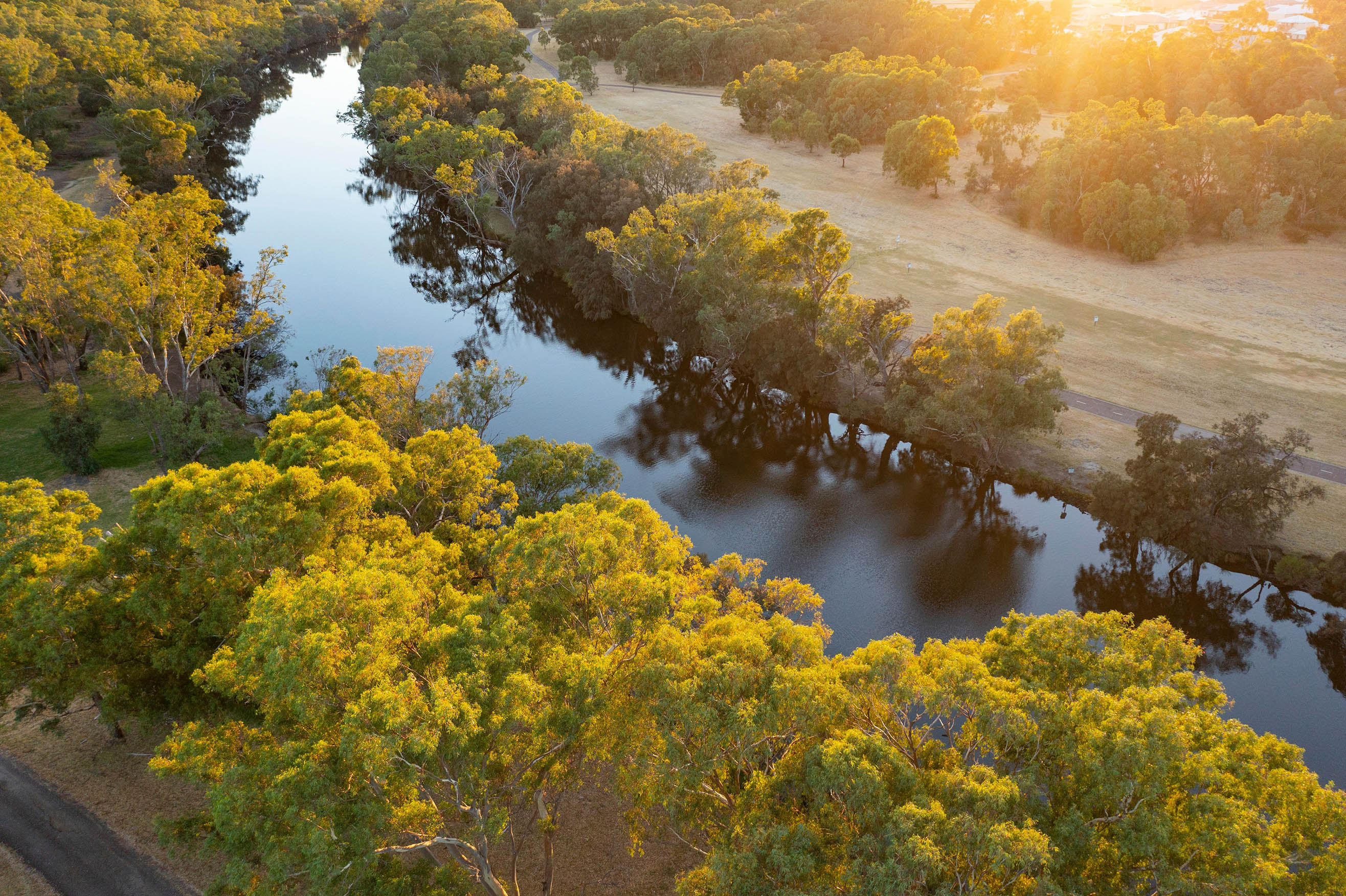 Swan Valley, WA. Image courtesy of Tourism Western Australia.