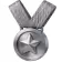 Silver medal with a star emblem and a ribbon on a white background.