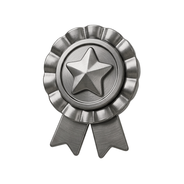 Silver award medal with a star in the center and two ribbons hanging below.