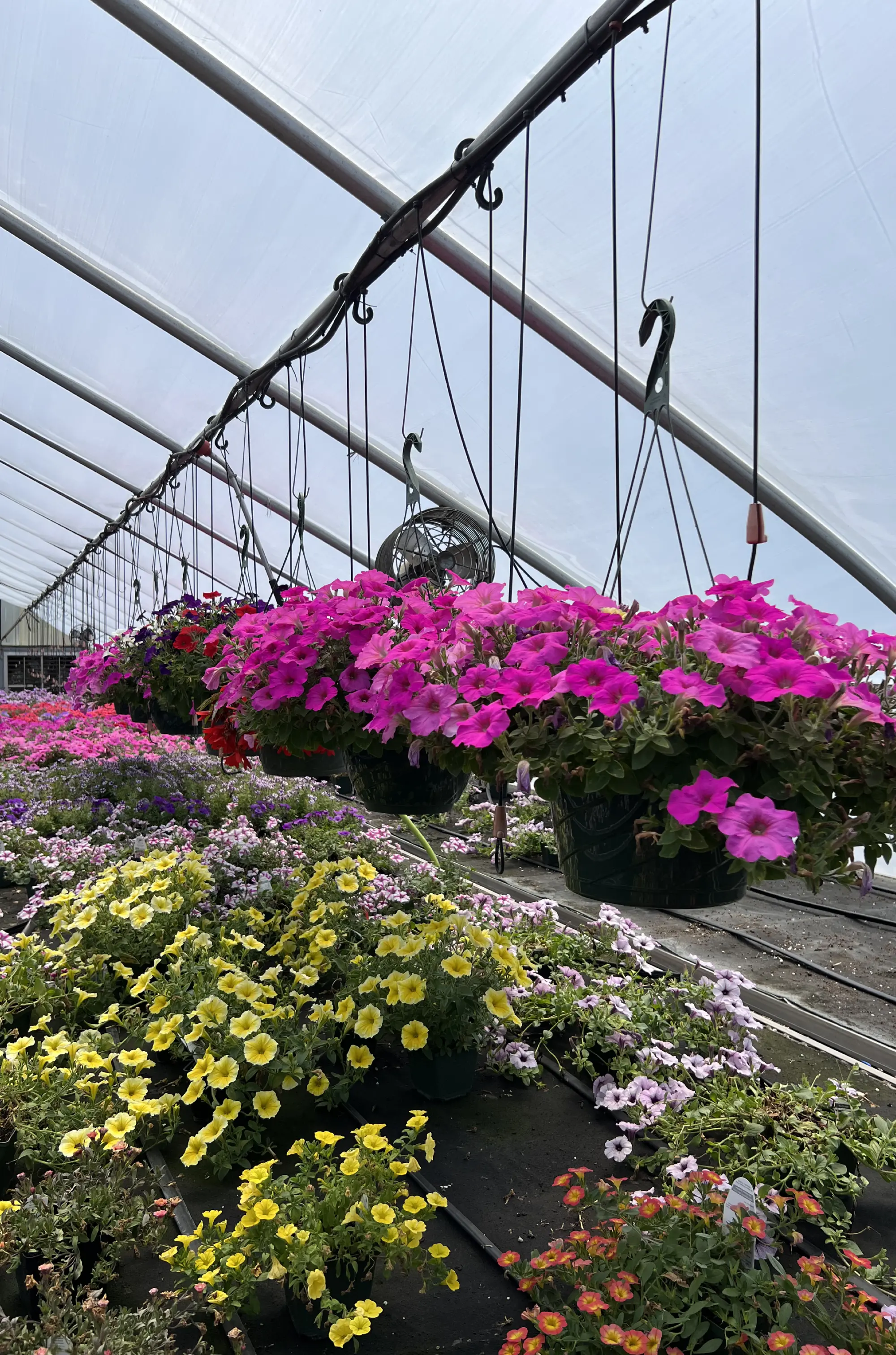 community gathering in an urban farm