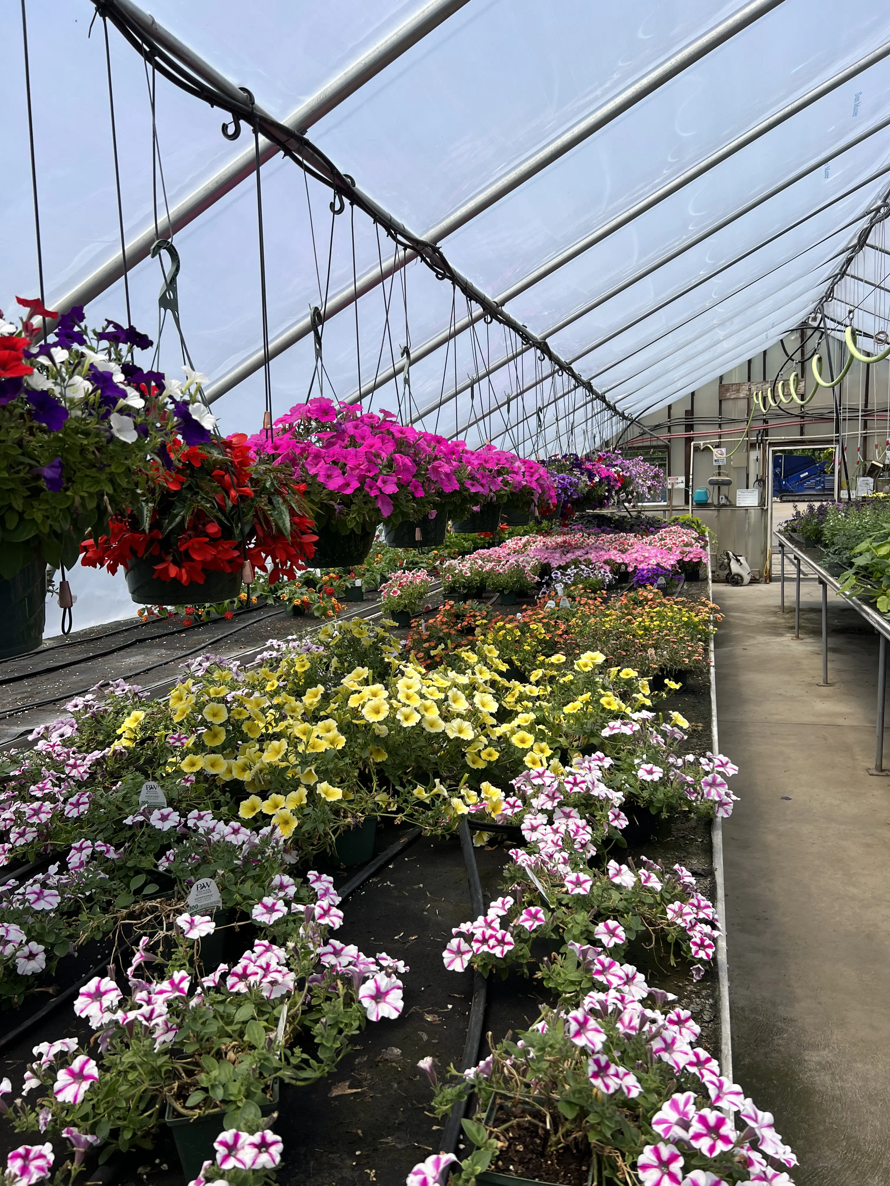 image of workers gardening