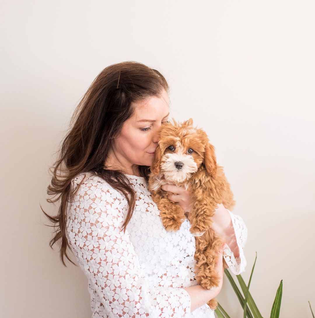 Monique Chelin holding Enzo, her cavoodle