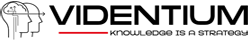 Videntium logo