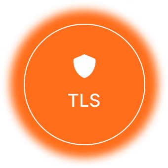 Encryption in transit with TLS