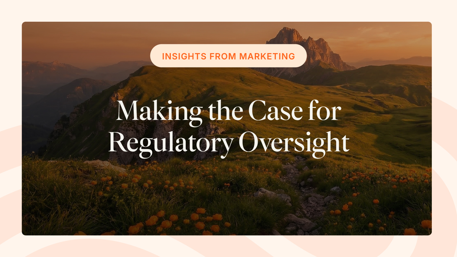 Making the Case for Regulatory Oversight
