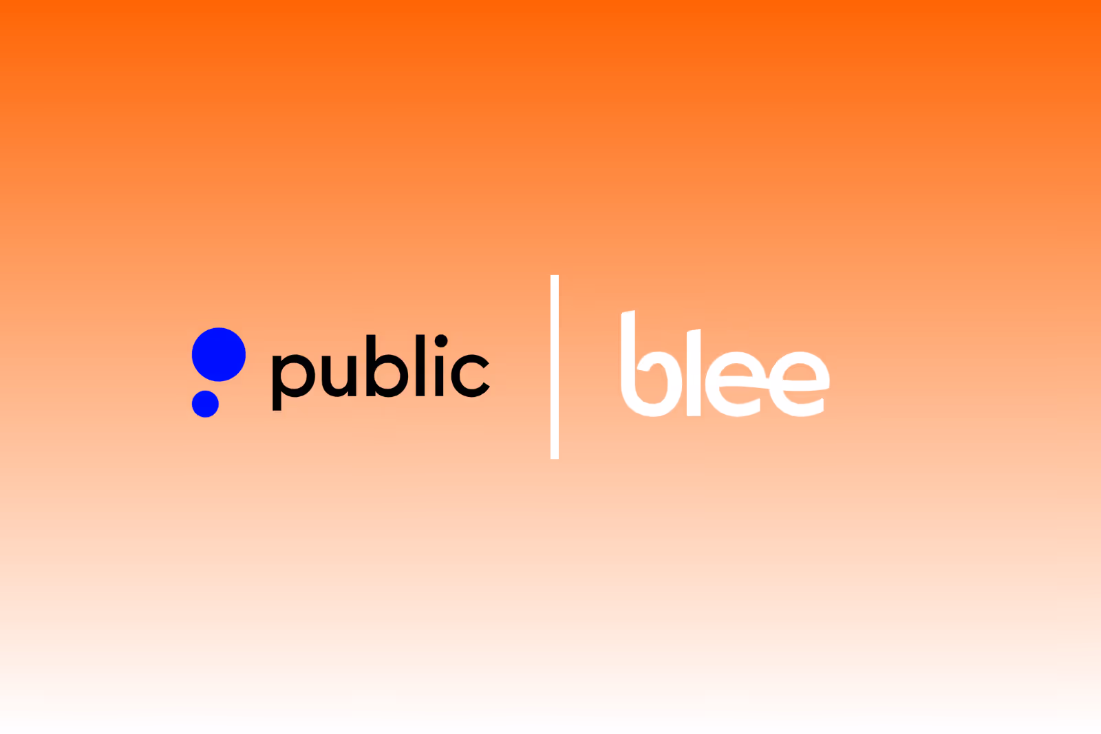 Blee Partners With Public to Power Compliance for the Modern Multi-Asset Investor