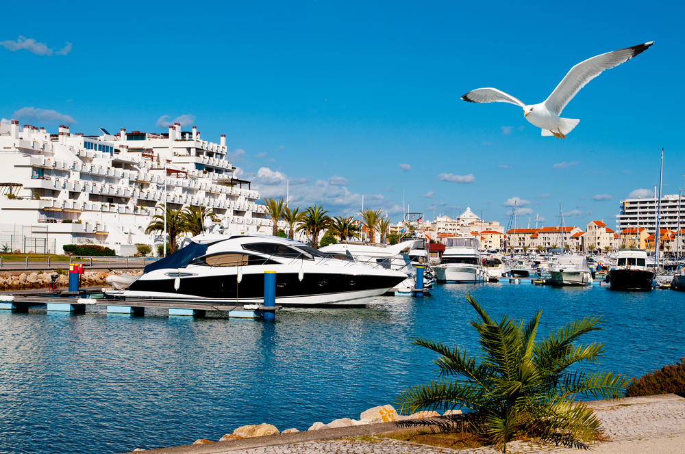 A seagull flies over a sunlit marina filled with luxury yachts and white buildings