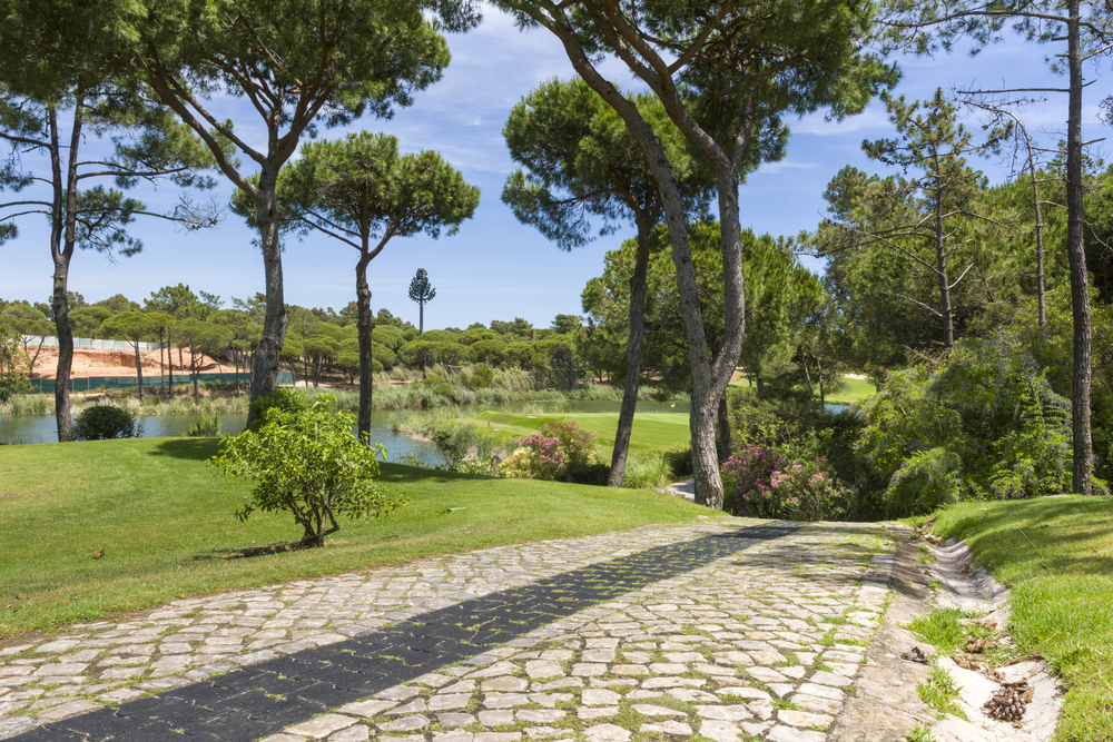 Stone path leading to a green golf course surrounded by tall pine trees and a small lake