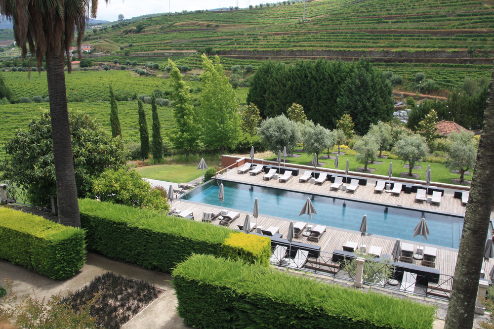 Luxury resort pool area overlooks terraced vineyards and lush green hillsides