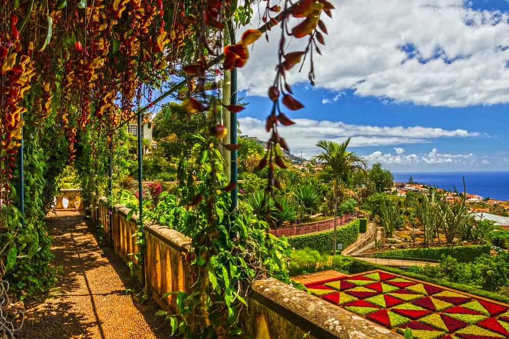 Botanical garden pergola in Madeira with ocean view, patterned flower beds and lush greenery
