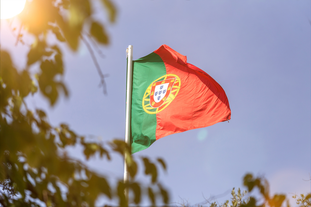 Portuguese flag waving against clear sky with sunlight and tree branches in foreground
