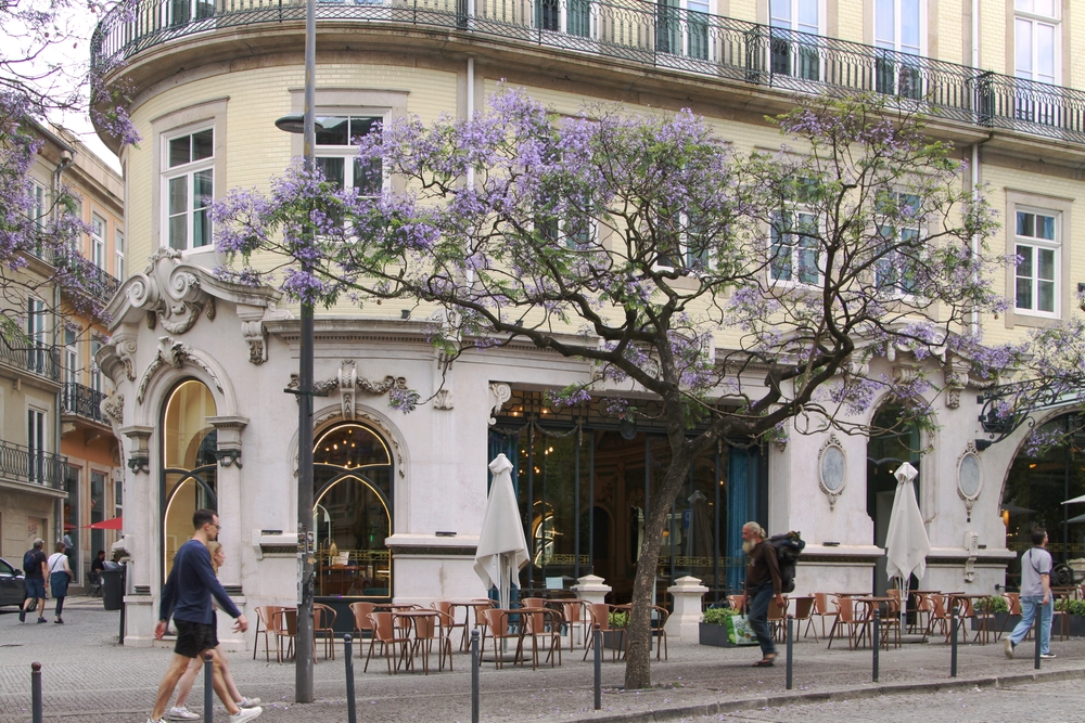 Picturesque hotel in Porto