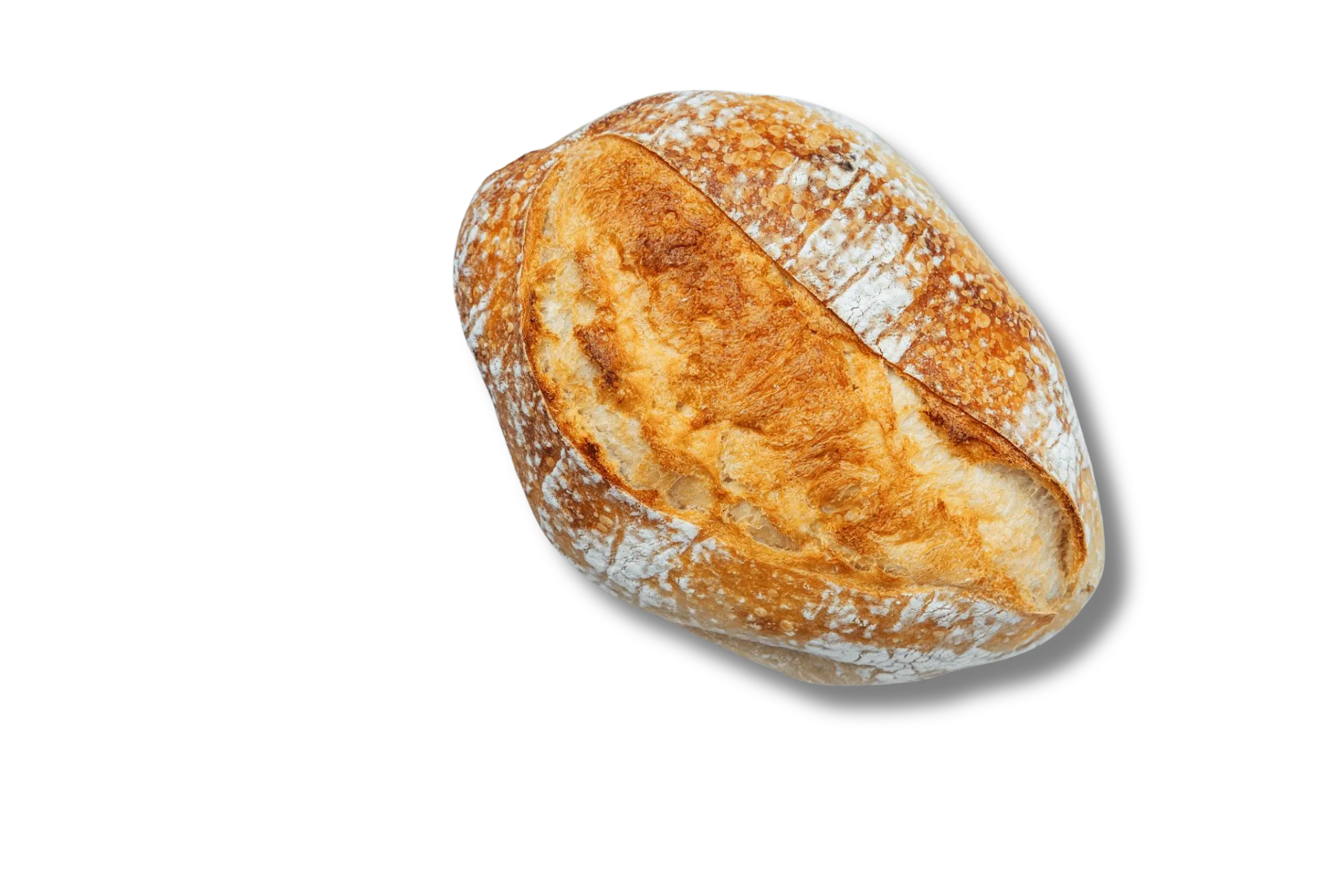 Pan de la selección Fresh Oven Foods