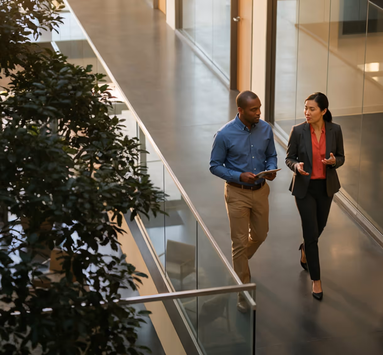 Two colleagues walking and talking in a modern office hallway with glass walls and indoor plants.