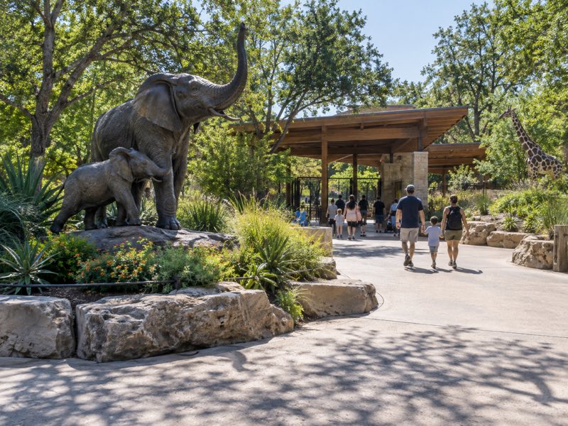 Dallas Zoo in Dallas