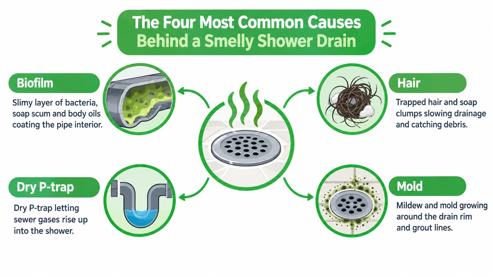 An infographic illustrating the four common causes of a smelly shower drain, including biofilm, hair, dry P-traps, and mold.