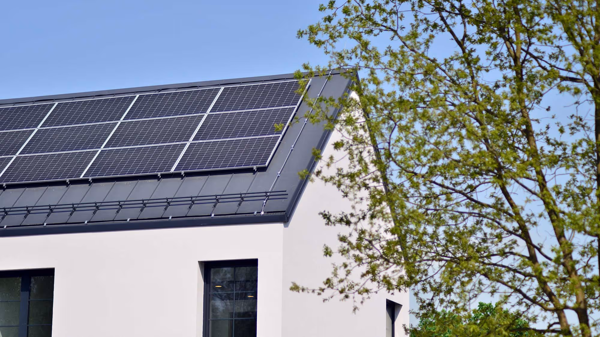 White house with solar panels on the roof, next to a tree.