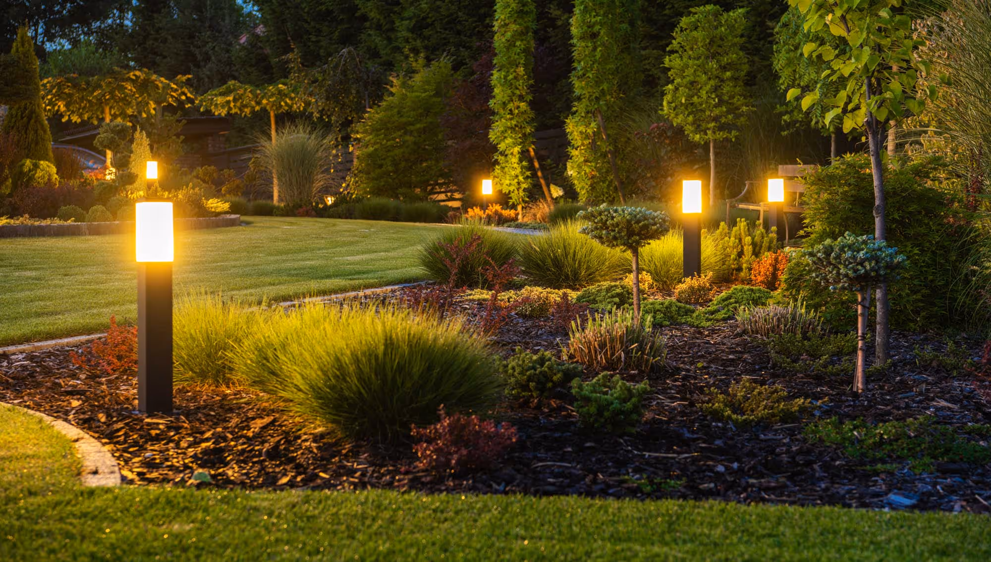 Garden pathway with glowing lights, surrounded by grass and various small plants.