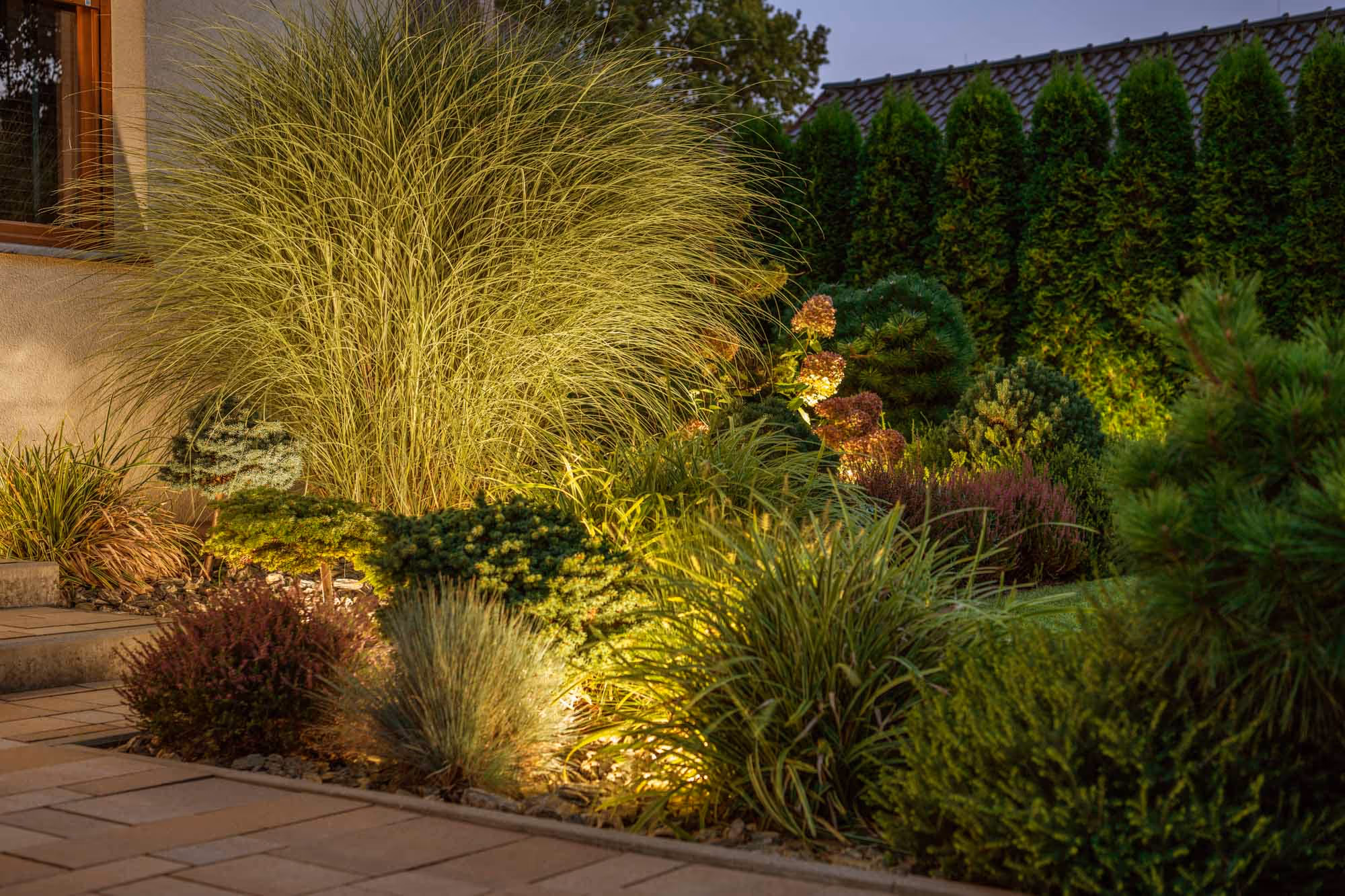 Outdoor garden scene with decorative plants and grasses illuminated by soft landscape lighting at dusk.