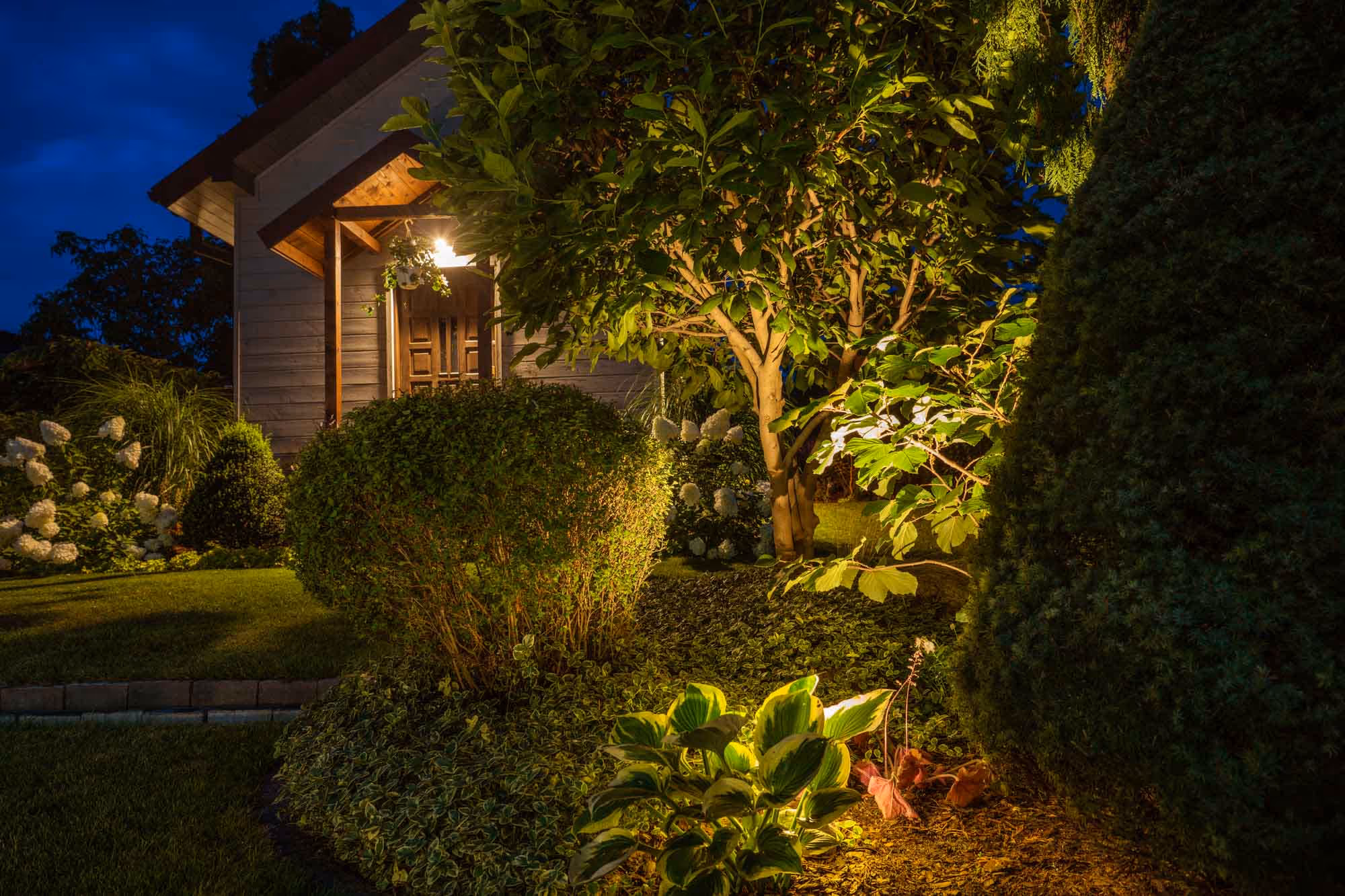 A house entrance illuminated by outdoor lights, surrounded by bushes and trees at night.
