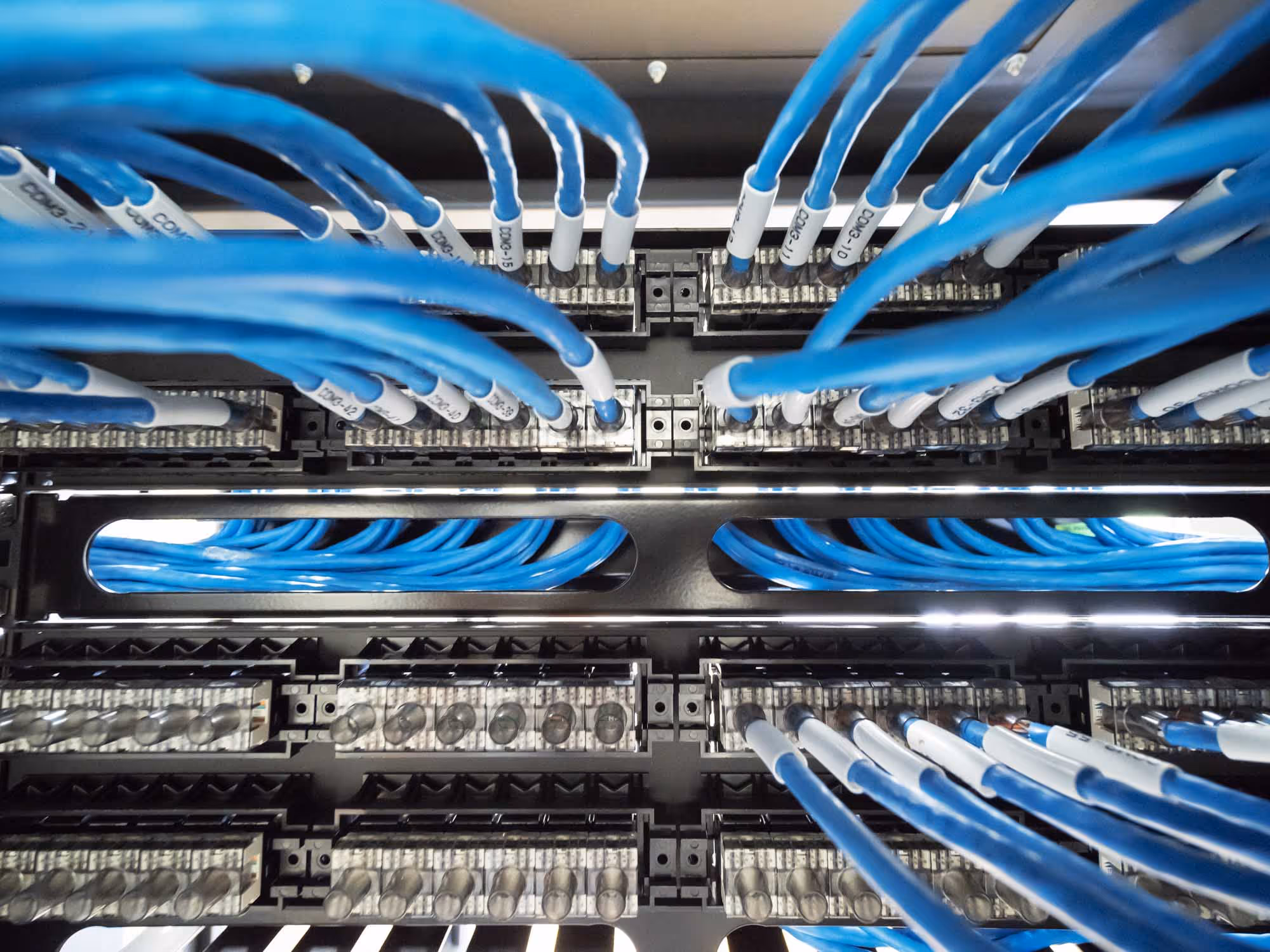 Blue network cables are connected to ports in a server rack.