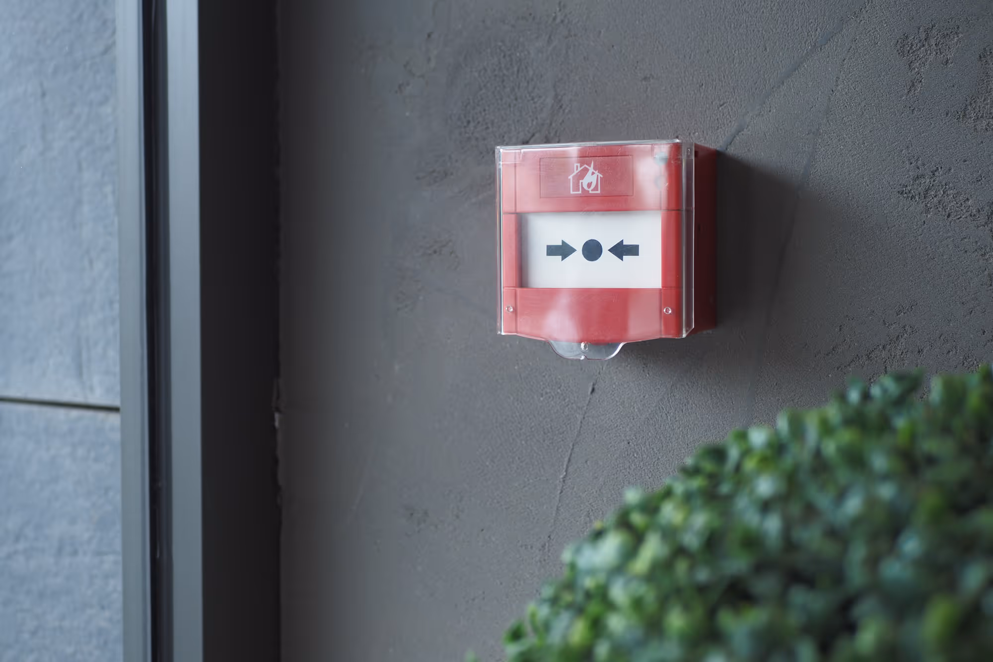Red fire alarm box mounted on a gray wall, positioned next to a green plant.