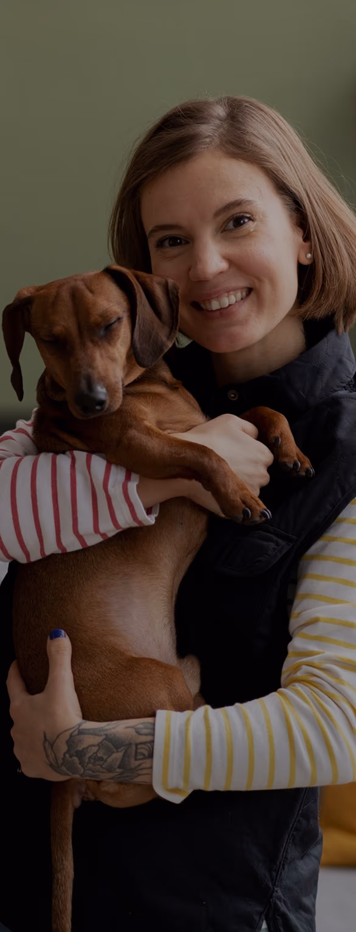 Veterinary Care Webflow Template – Hulio Care – Designed by Azwedo.com and Wedoflow.com