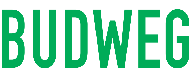 Brnad Logo