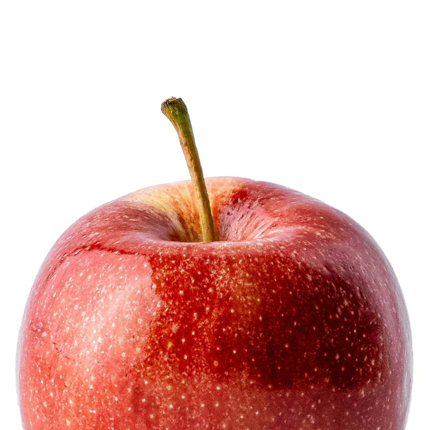 Alimentation scolaire