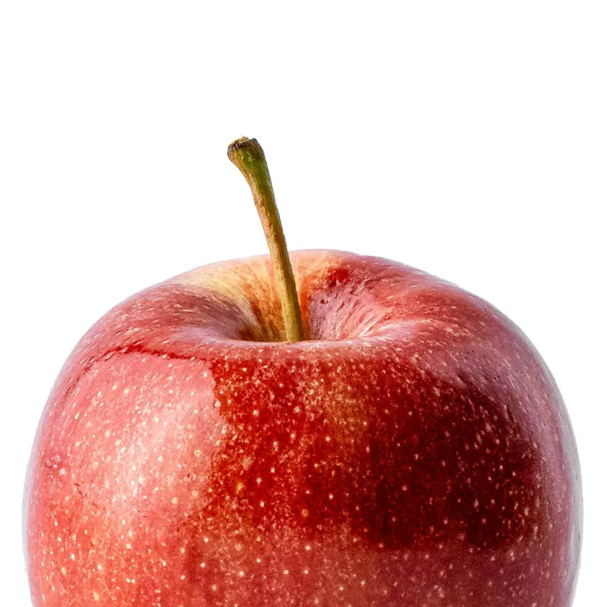 Alimentation scolaire