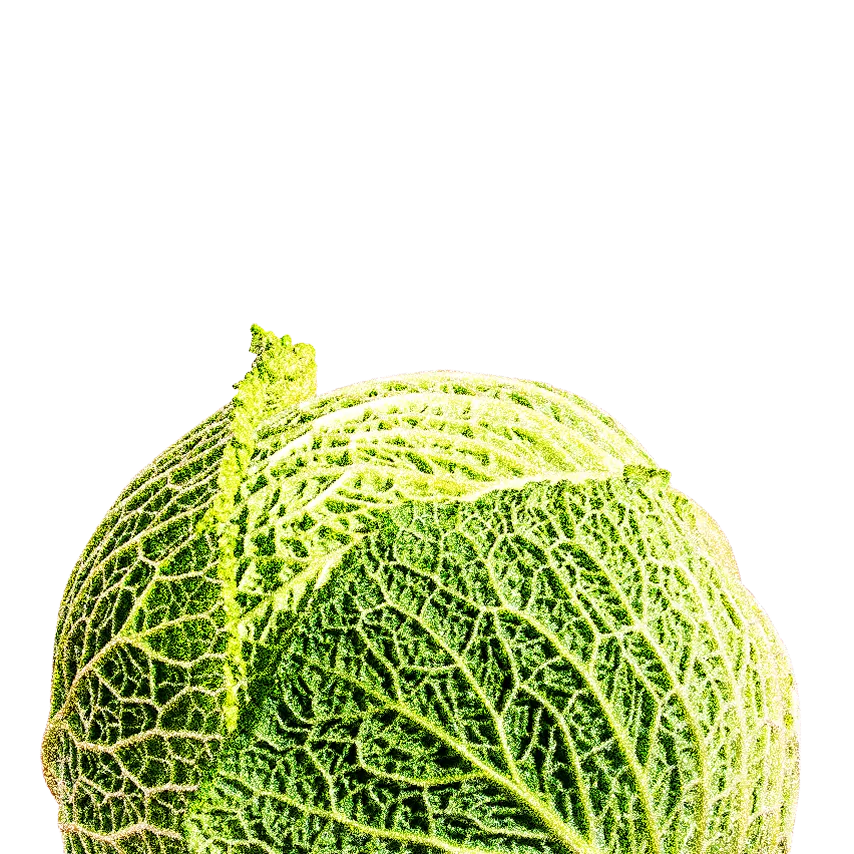 Bioalimentaire