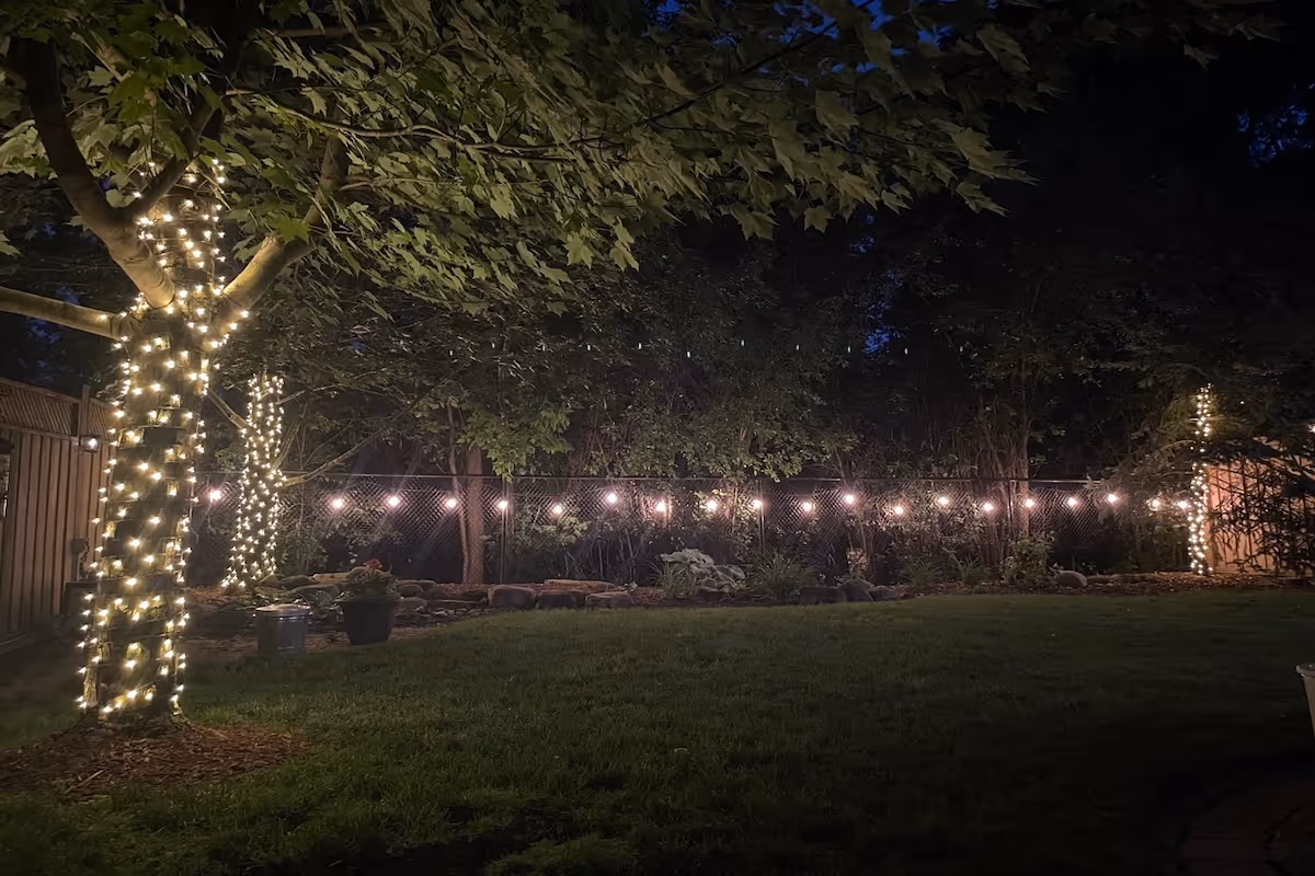 Backyard garden at night with trees wrapped in string lights and additional lights hung on a fence.