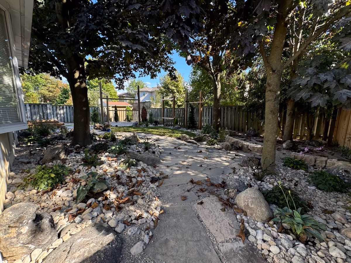 Stone pathway winding through a shaded backyard garden with trees, rocks, and plants.
