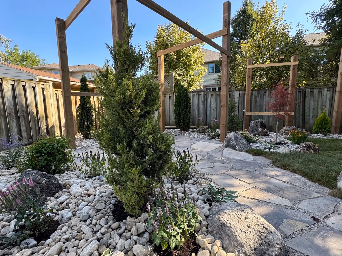 Backyard garden with stone pathway, small trees, shrubs, rocks, and wooden pergola frames under a clear blue sky.