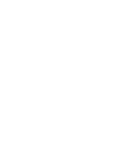 Hybridge H Icon